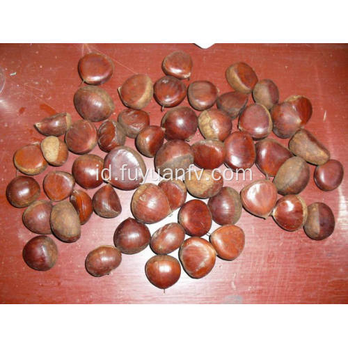 cokelat chestnut super manis